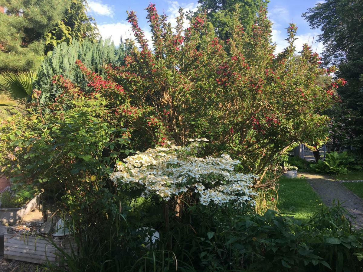 Tinyhouse Mit Pool, Outdoor Whirlpool Und Garten Feriehus